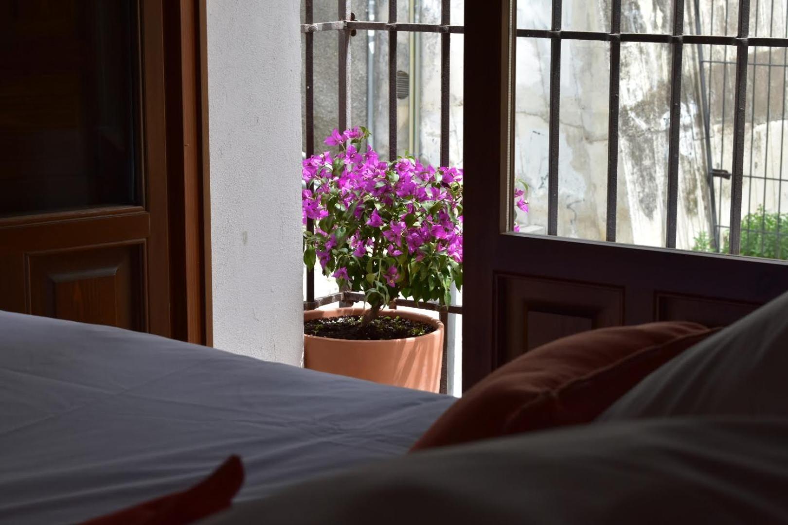 Apartamentos Alhambra Granada Esterno foto